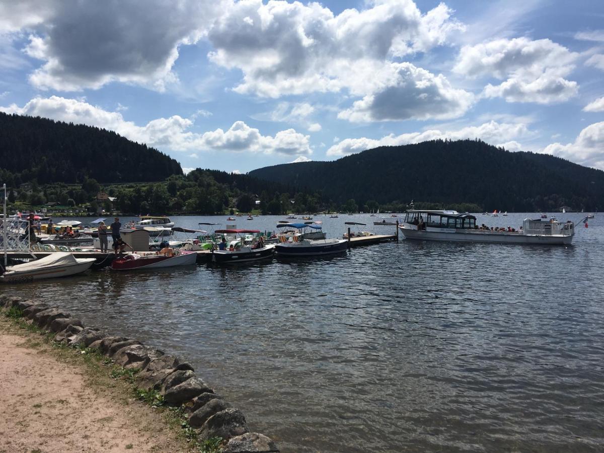 Gite Les Dryades Gérardmer Esterno foto