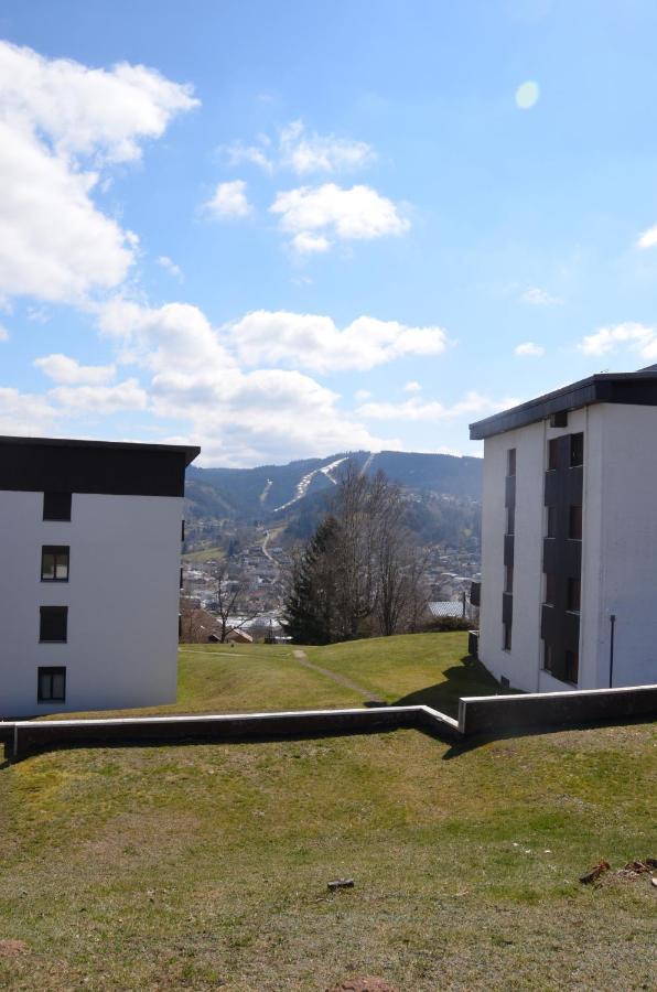 Gite Les Dryades Gérardmer Esterno foto