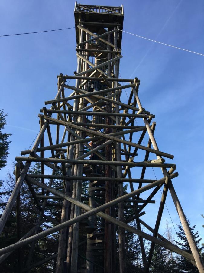 Gite Les Dryades Gérardmer Esterno foto