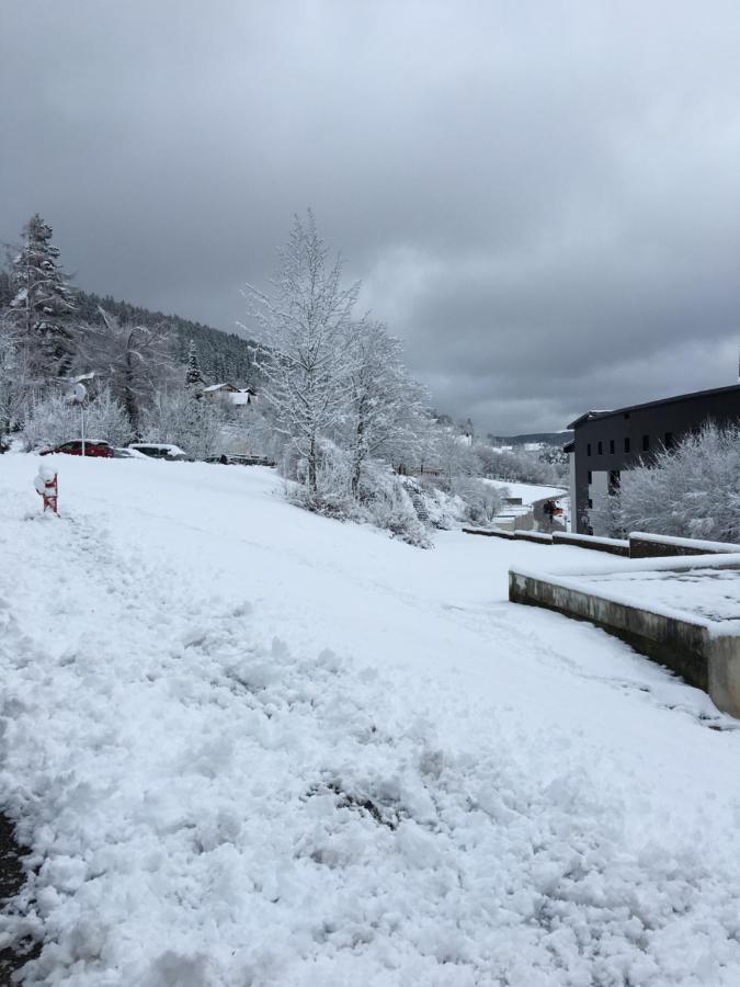 Gite Les Dryades Gérardmer Esterno foto
