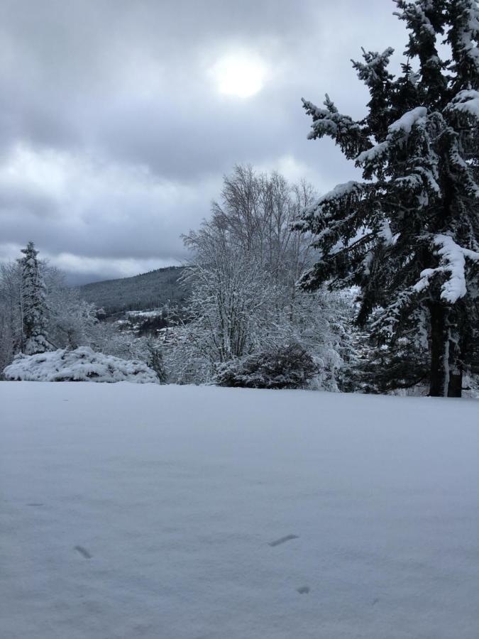 Gite Les Dryades Gérardmer Esterno foto