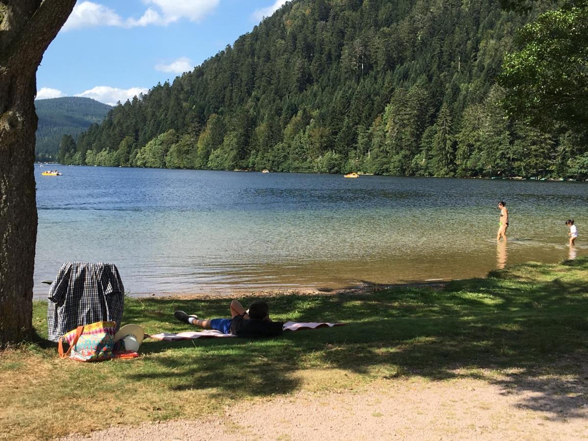 Gite Les Dryades Gérardmer Esterno foto