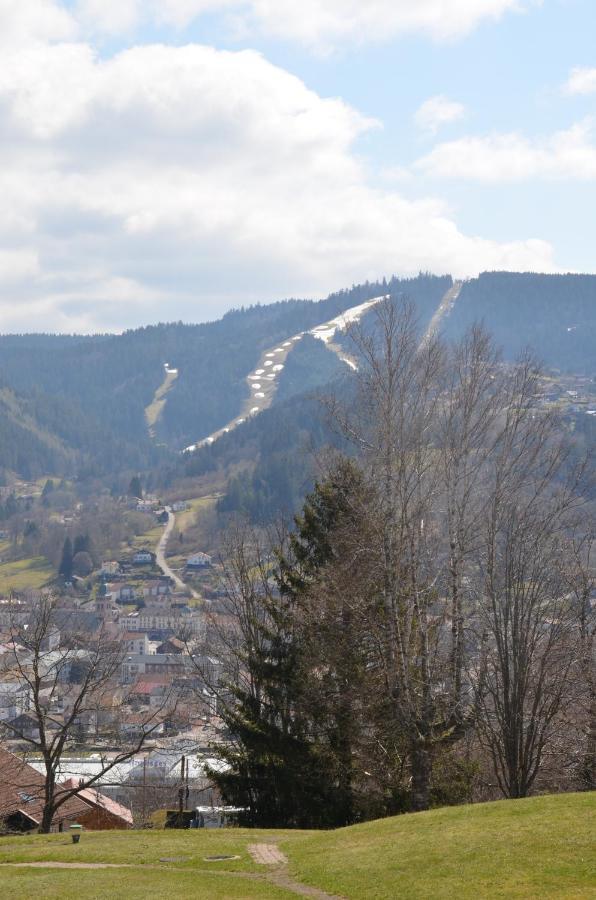 Gite Les Dryades Gérardmer Esterno foto